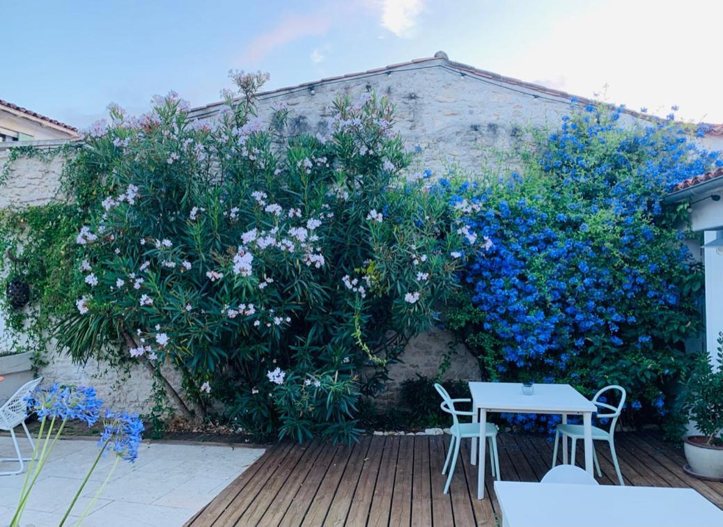 Maison Face Au Soleil 勒布瓦普拉热雷 外观 照片