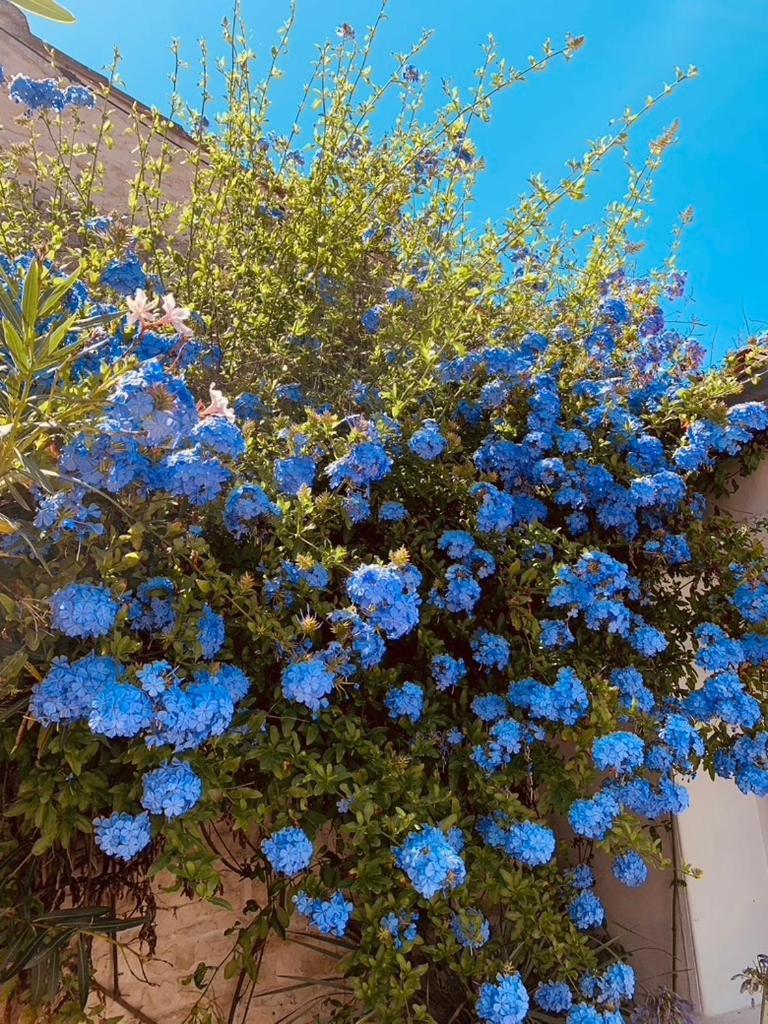 Maison Face Au Soleil 勒布瓦普拉热雷 外观 照片